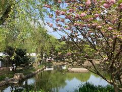 -白马涧龙池景区
