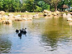 -西昌邛海宾馆