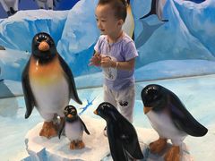 -芜湖新华联大白鲸海洋公园