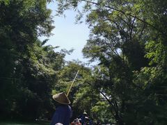 -九曲溪竹筏码头