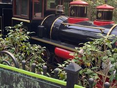 -合肥滨湖国家森林公园