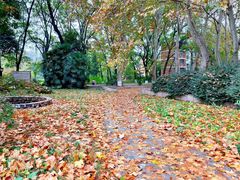 -南京特殊教育师范学院(燕子矶校区)