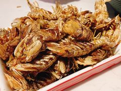 -后海16号·北京私房菜