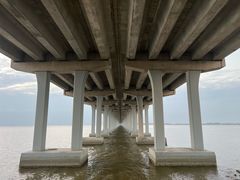 -宝安西湾红树林湿地公园