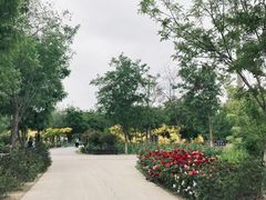 -西青郊野公园