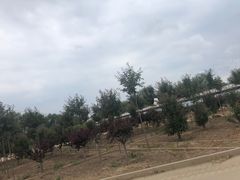 -甜心庄园·甜心草莓采摘园(西青中北店)