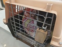 -贝康宠物医院·犬猫全科·小动物特色诊疗中心(东环路店)