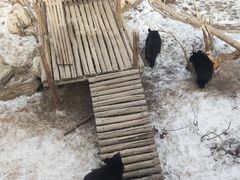 -大青山野生动物园