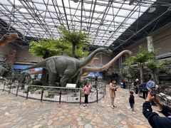 -国家自然博物馆