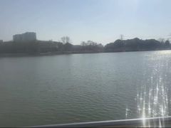 -九里河湿地公园