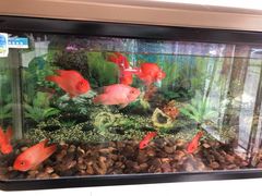 -微笑口腔(园区店)