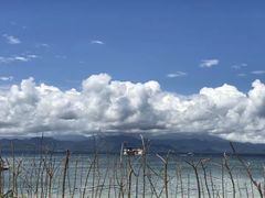 -乌布德传统市场