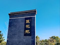 -莲花池公园