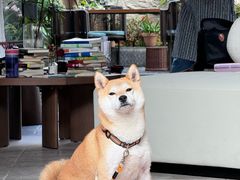 -UH祐禾(上海五角场万达店)
