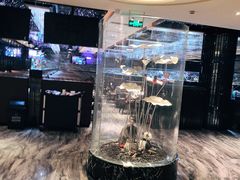 -红辣椒·川菜·火锅(张杨路店)