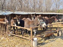 -素行天下(国投财富广场店)