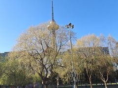 -龙塔