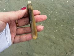 -红树林天天赶海