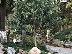-伯先公园