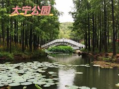 -大宁公园