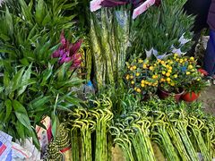 -花鸟鱼虫鲜花绿植市场(玉泉路店)