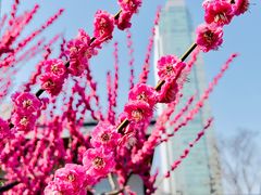 -静安雕塑公园