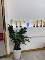 -CICI纤美·科技减肥美容