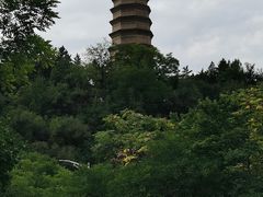 -延安宝塔山旅游景区-游客服务中心
