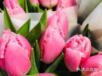 烟雨蒙蒙，有花的日子还是幸福的…… 从小就喜欢花