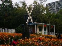 -晓港公园