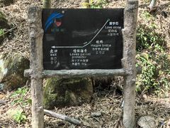 -黄山翡翠谷景区