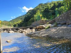 -北仑森林植物园