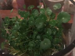 -铃木食堂(帽儿胡同店)