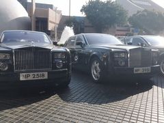 -大堂茶座