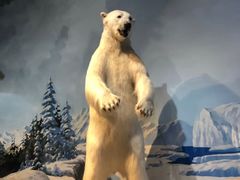 -陕西自然博物馆