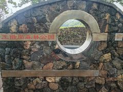 -王借岗森林公园