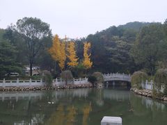 -山湖温泉