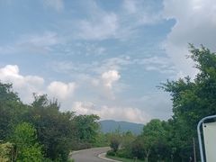 -三垟湿地