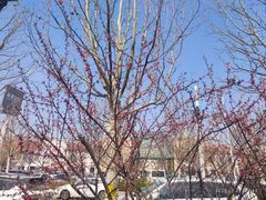 -京津佛罗伦萨小镇