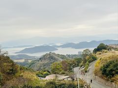 -黄贤森林公园