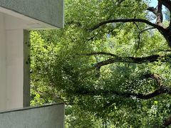 -湖北美术学院(昙华林校区)