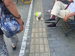 -晶牌烤鸭(延吉东路557弄小区店)