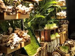 -大头椰·椰子鸡火锅(南宁万象城店)