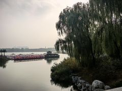 -大兴滨河森林公园