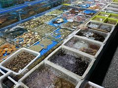 -霞涌市场海鲜摆卖区