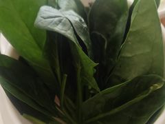 -草原传奇鲜羊火锅(桥北店)