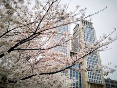 -复旦大学光华楼