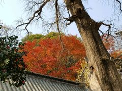 -青岛崂山太清宫