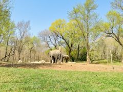 -北京野生动物园