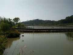 -飞凤山奥体公园